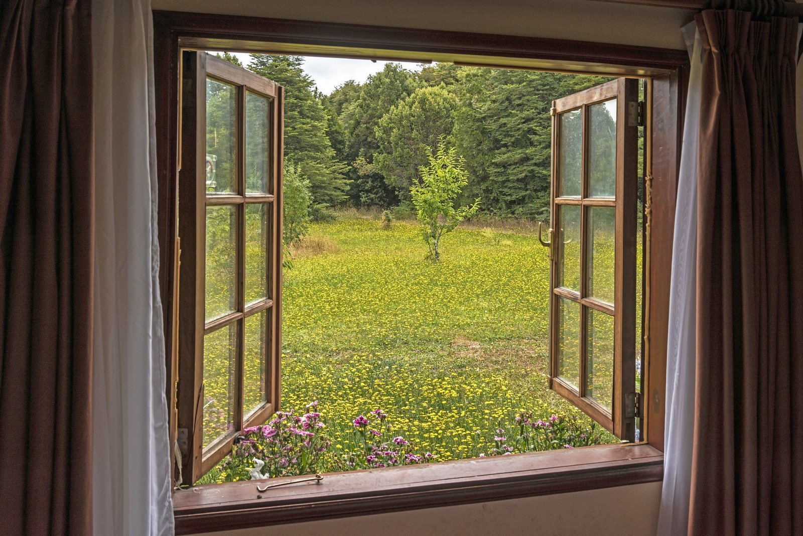 Geöffnetes Schlafzimmerfenster mit Vorhängen